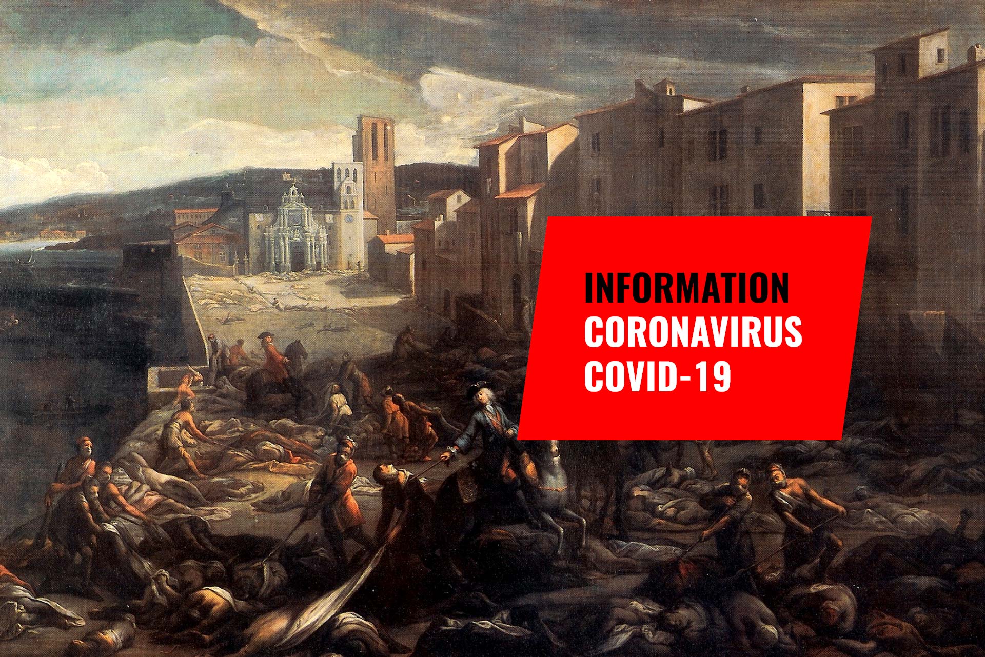 Coronavirus : la chauve-souris, perpétuel suspect