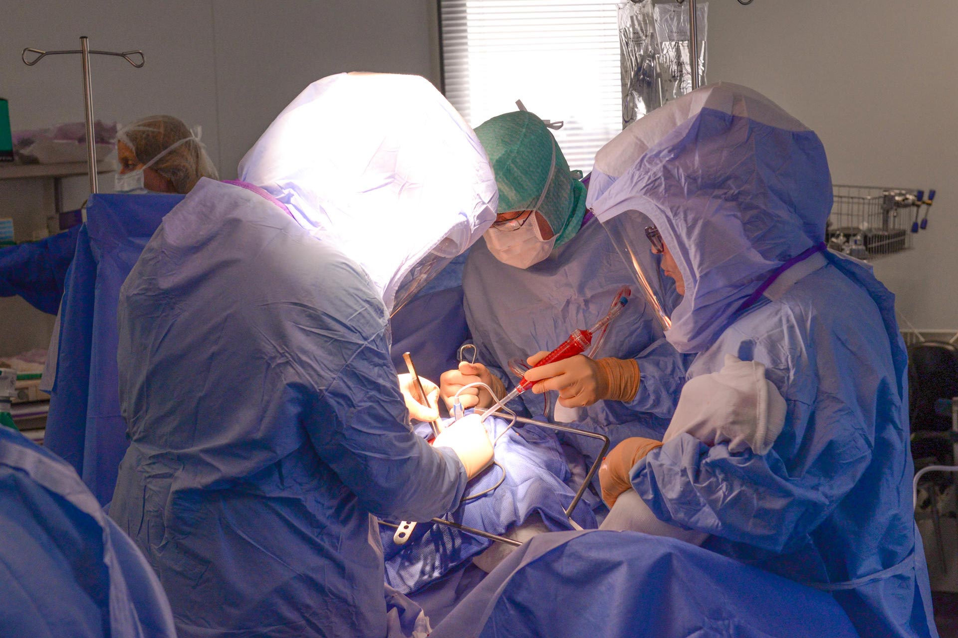Les chirurgiens de la clinique Bonnefon sont en train de reprogrammer les interventions chirurgicales, par ordre d’urgence.