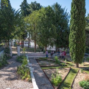 Le jardin pédagogique d’Alès, au cœur du Bosquet, invite les citoyens à développer une science participative, c’est-à-dire à prendre part aux activités du jardin dans le but de partager les connaissances et les expériences vécues.